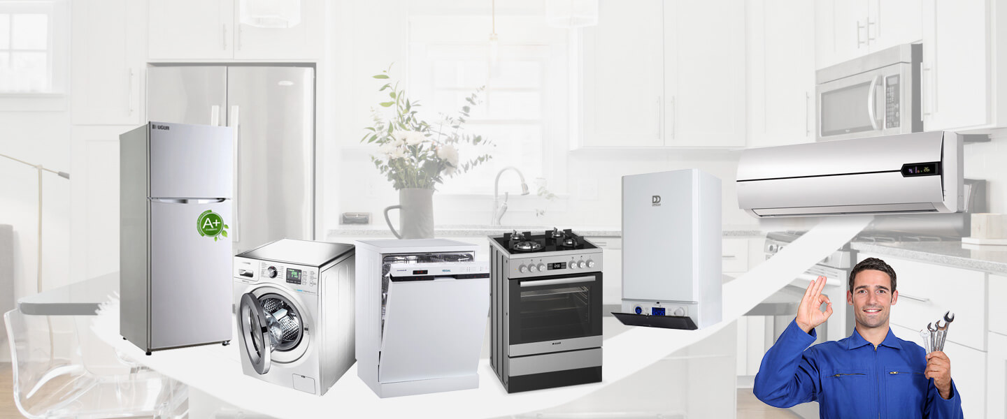 Lice Electrolux Servisi